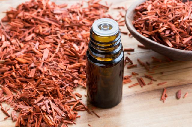 What Does Sandalwood Smell Like?